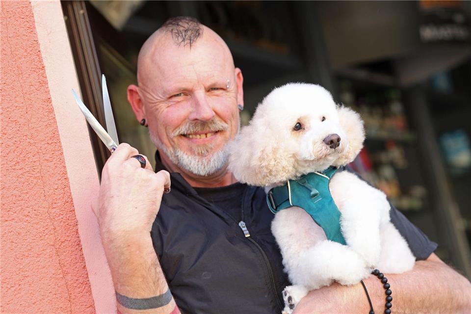 Neuer Look für Zwergpudel Jordy: Der Besuch beim Hundefriseur ist für viele Vierbeiner mehr als ein Styling. Matthias Bein/dpa