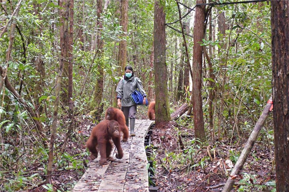 Neugierig erkunden die Waldschüler den Wald im neuen Zentrum.-/Bos Foundation/dpa