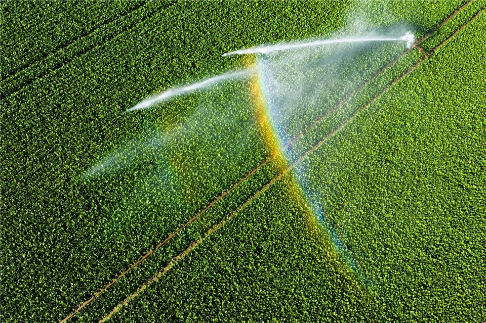 Nicht einmal fünf Prozent der landwirtschaftlichen Fläche kann bewässert werden. Julian Stratenschulte/dpa