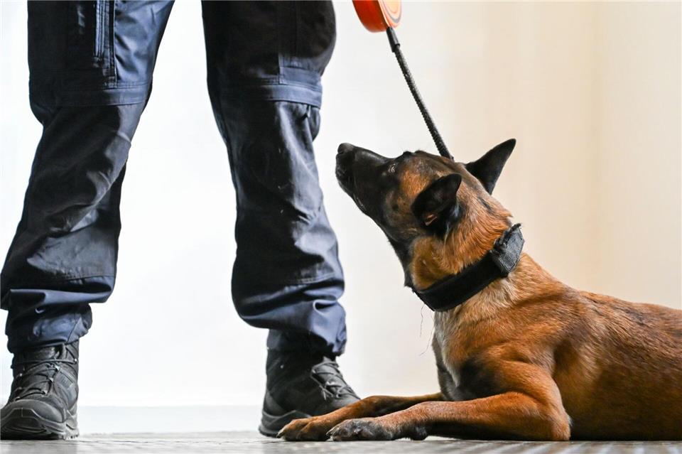 Nicht immer ist es leicht zu erkennen, wenn Tiere leiden. (Symbolbild)Jens Kalaene/dpa