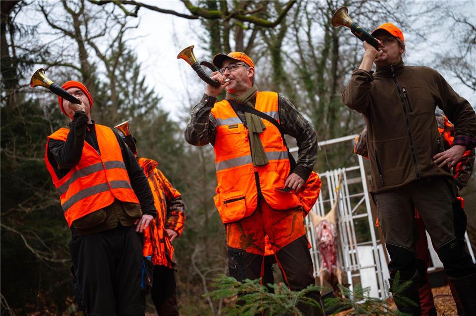 Nicht nur Männer, auch Frauen interessieren sich für die Jagd. (Archivbild)Sina Schuldt/dpa