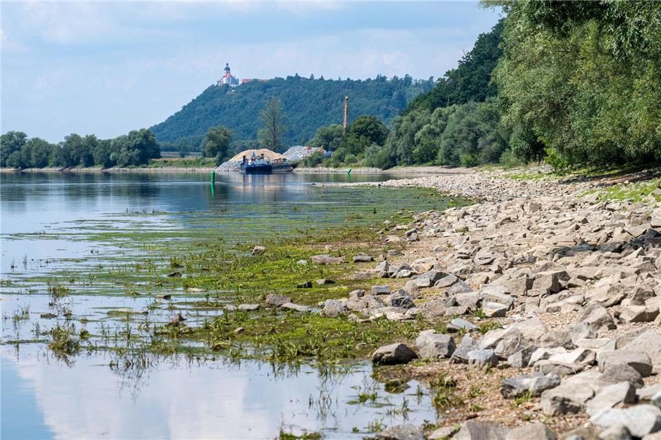 Nicht nur an der Donau sind die Wasserstände derzeit ungewöhnlich niedrig. (Archivbild)Armin Weigel/dpa