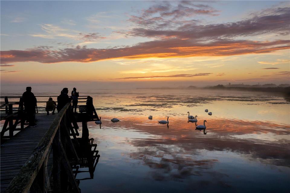 Nicht nur die Schwäne bekommen nasse Füße in den kommenden Tagen. Thomas Warnack/dpa