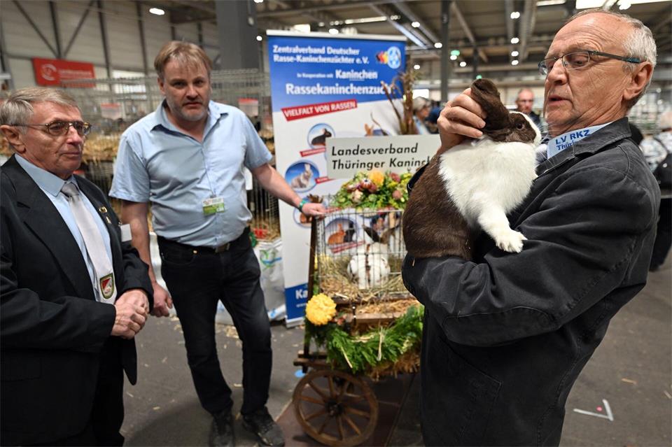 Nicht nur große Nutztiere, auch kleinere Vierbeiner werden auf der Messe präsentiert.Martin Schutt/dpa