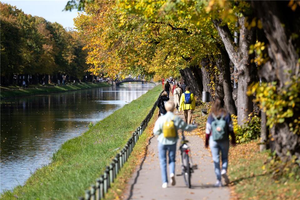 Nicht nur im Nymphenburger Park - in Parks mit alten Bäumen und vielen Wildtieren fühlen sich auch Zecken wohl. (Archivfoto)Sven Hoppe/dpa