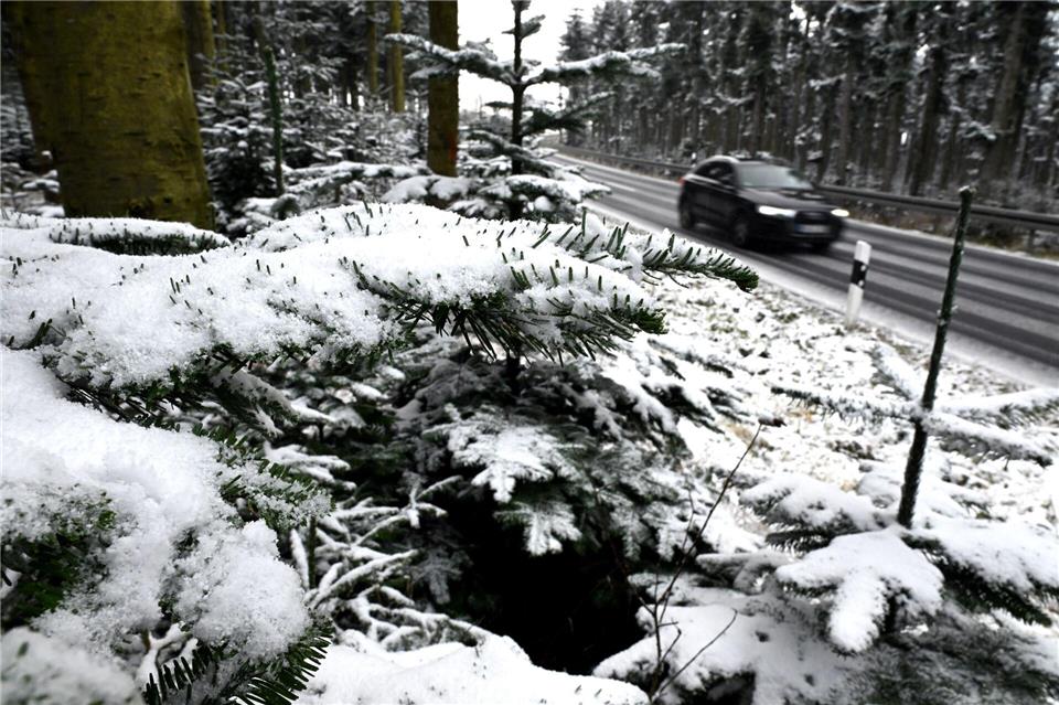 Nicht nur im Sauerland fielen zu Wochenbeginn erste Schneeflocken.Federico Gambarini/dpa