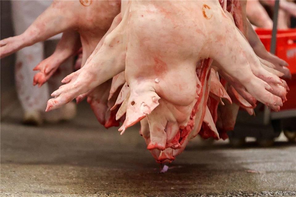 Nicht von Menschen stammte das Blut, das auf die Straßen in Oberndorf lief. (Symbolbild)Jan Woitas/dpa-Zentralbild/dpa