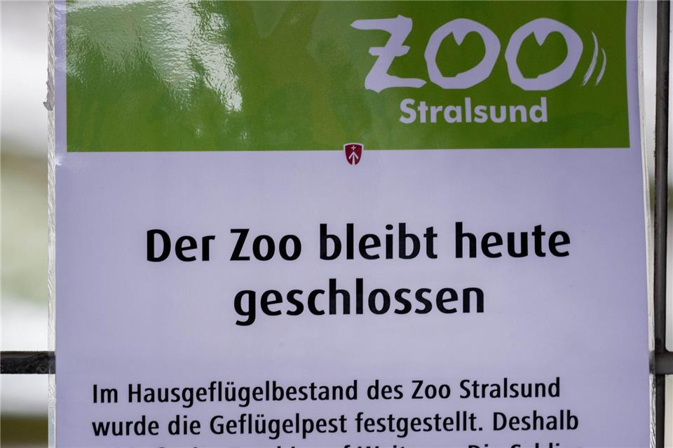 Nicht zum ersten Mal muss der Stralsunder Zoo wegen der Vogelgrippe schließen.Stefan Sauer/dpa