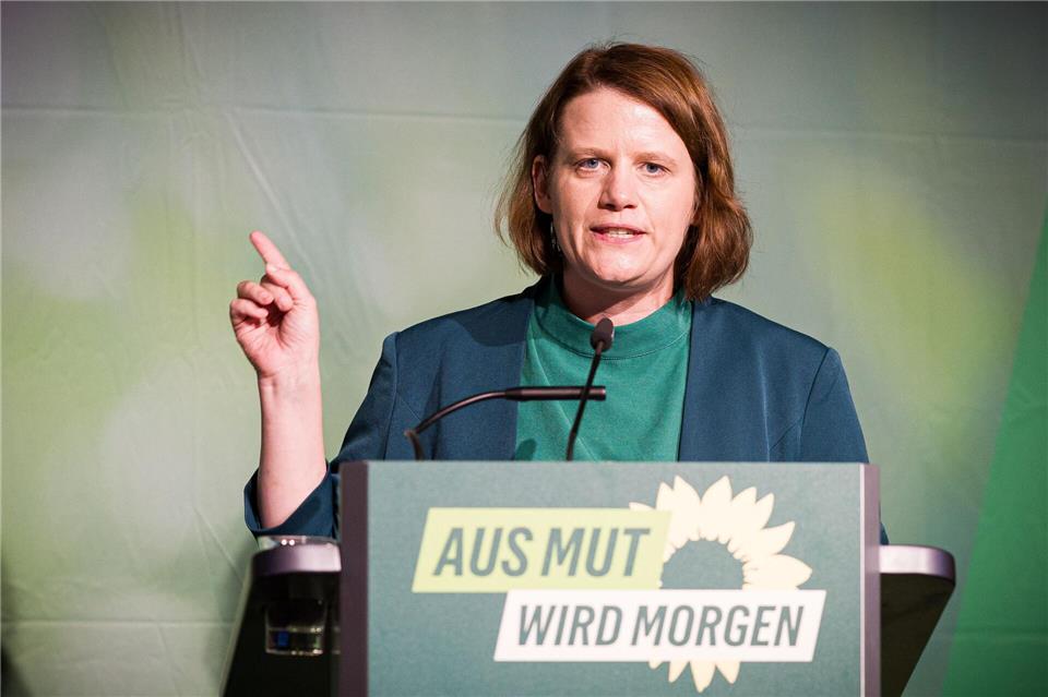 Niedersachsens Vize-Ministerpräsidentin Hamburg will Steuerflüchtlinge ins Visier nehmen.Moritz Frankenberg/dpa