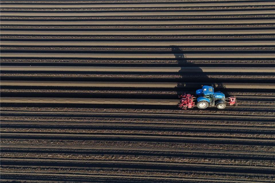 Nitrat im Grundwasser bleibt in vielen Regionen ein Problem. (Archivbild) Klaus-Dietmar Gabbert/dpa