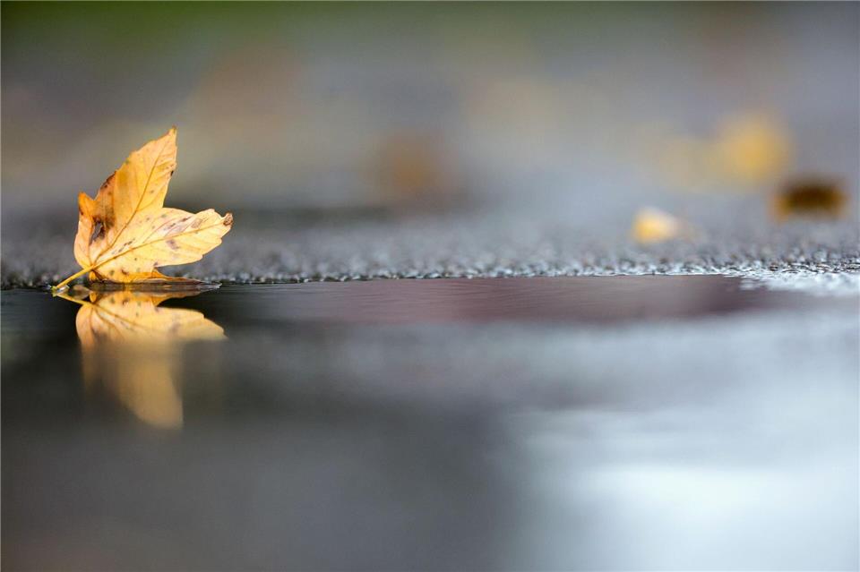 Noch hält sich die herbstliche Zweiteilung beim Wetter in Deutschland. (Archivbild)Thomas Warnack/dpa