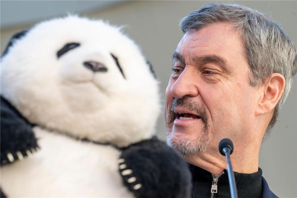 Noch hat Söder (r) nur einen Plüschbären in seinem Büro, doch spätestens 2028 soll es echte Tiere in München geben.Peter Kneffel/dpa