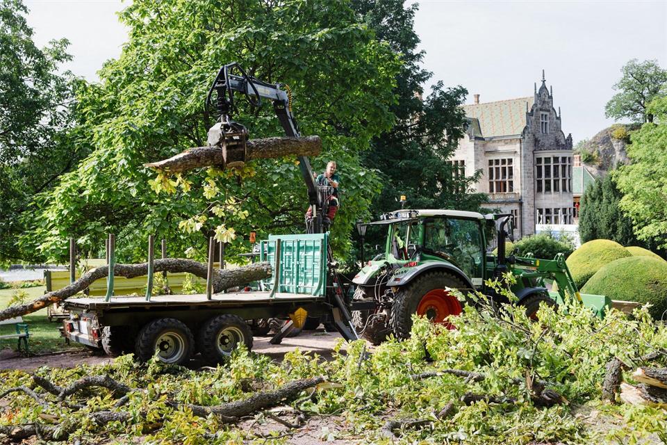 Noch ist unklar, wie groß der Schadensumfang im Schlosspark Altenstein genau ist.Michael Reichel/dpa