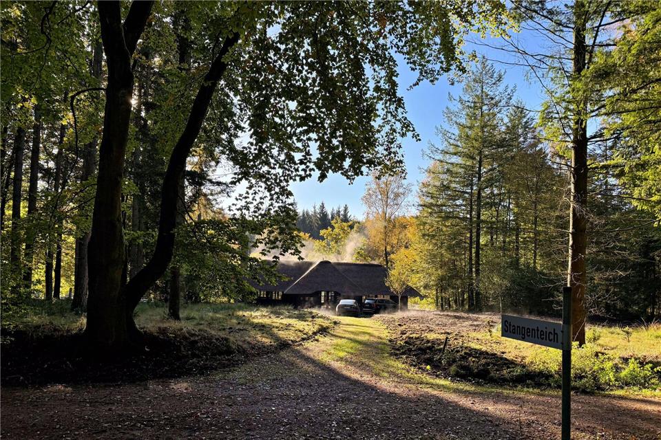 Noch liegt der Wald in Privatbesitz. (Archivbild)Ulrich Perrey/dpa