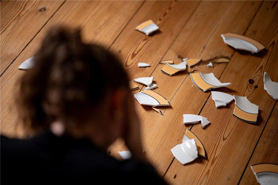 Noch nie hat die Polizei mehr Fälle häuslicher Gewalt in MV registriert. (Symbolbild)Fabian Sommer/dpa