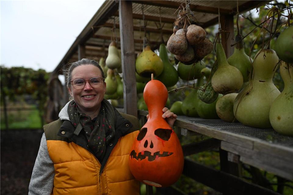 Noch viel Arbeit vor sich: Lampenkünstlerin Virginia Lauterbach mit ihren Flaschenkürbissen.Shireen Broszies/dpa