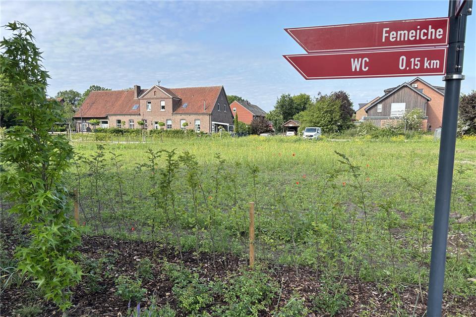 Nördlich des Femeichenparks am Ekornsloh sollen Einfamilienhäuser entstehen.