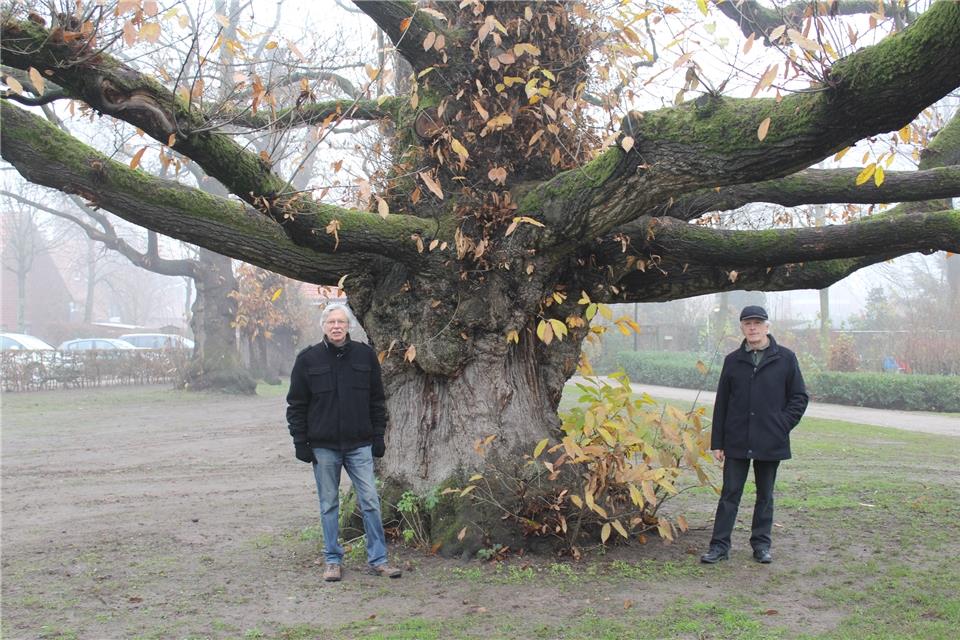 Norbert Sabellek (links) und Hermann-Josef Buning hatten für den Schutz der Allee geworben.
