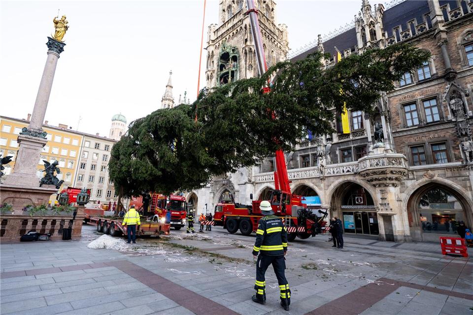 Nun müssen noch die Lichter ran.Lennart Preiss/dpa