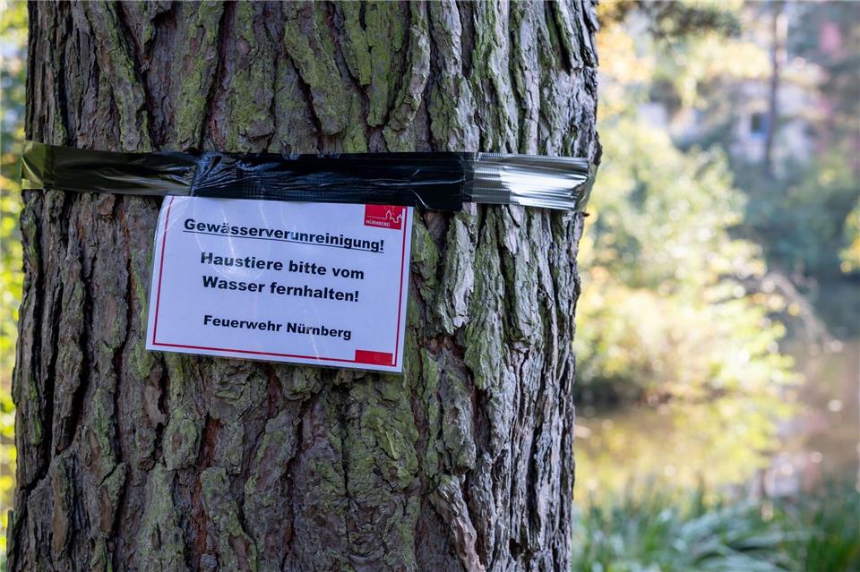 Nun wurden Warnschilder angebracht, Hunde sollen nicht mehr ins Wasser gelassen werden.Daniel Karmann/dpa