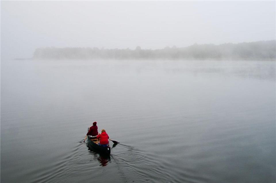 Nur im Breiten Luzin hier gibt es Exemplare der Luzin-Maräne (Archivbild)picture alliance / dpa