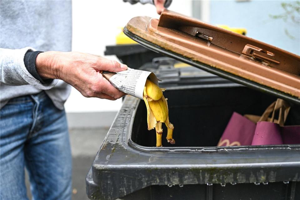 Nur in kleinen Mengen ein Fall für den Kompost: Wer sichergehen will, wirft Bananenschalen lieber in die Biotonne. Felix Kästle/dpa