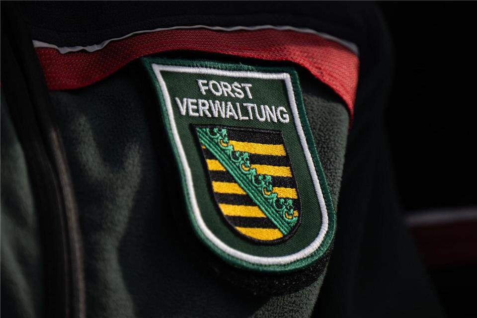 Nur noch 3.100 Hektar Wald in Sachsen tragen künftig das FSC-Siegel (Archivbild)Robert Michael/dpa