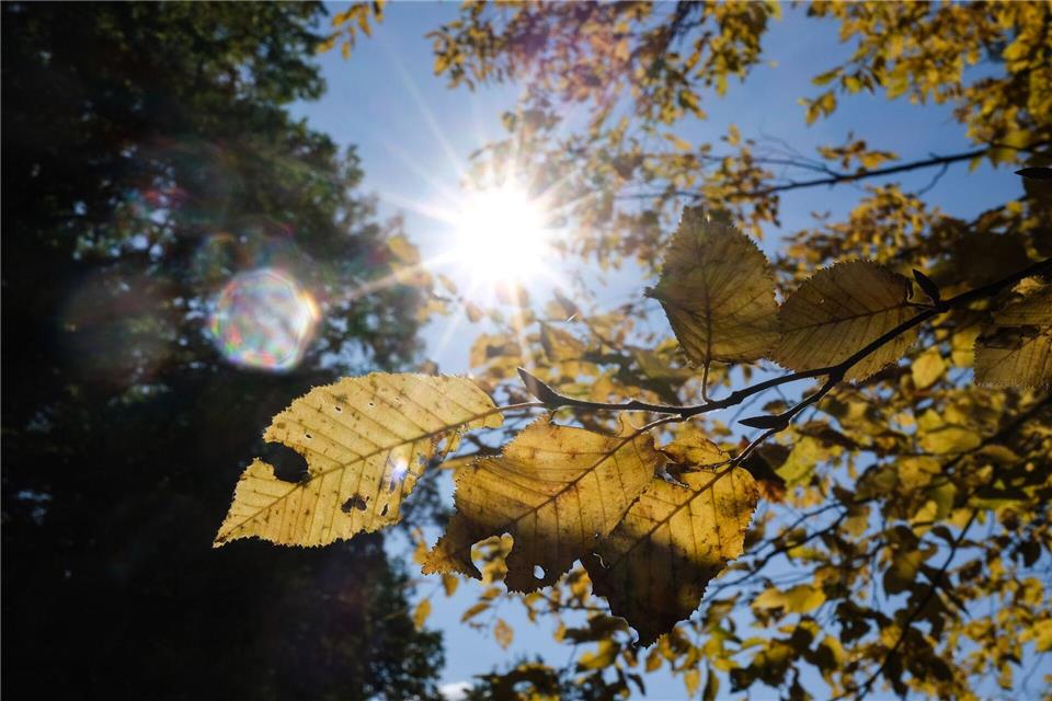 Nur selten soll die Sonne scheinen.Bernd Weißbrod/dpa