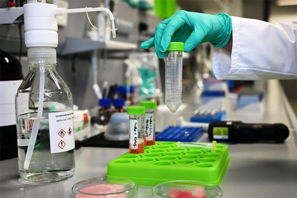 Nur wenige der untersuchten Lebensmittelproben sind als gesundheitsschädlich eingestuft worden.Jens Kalaene/dpa