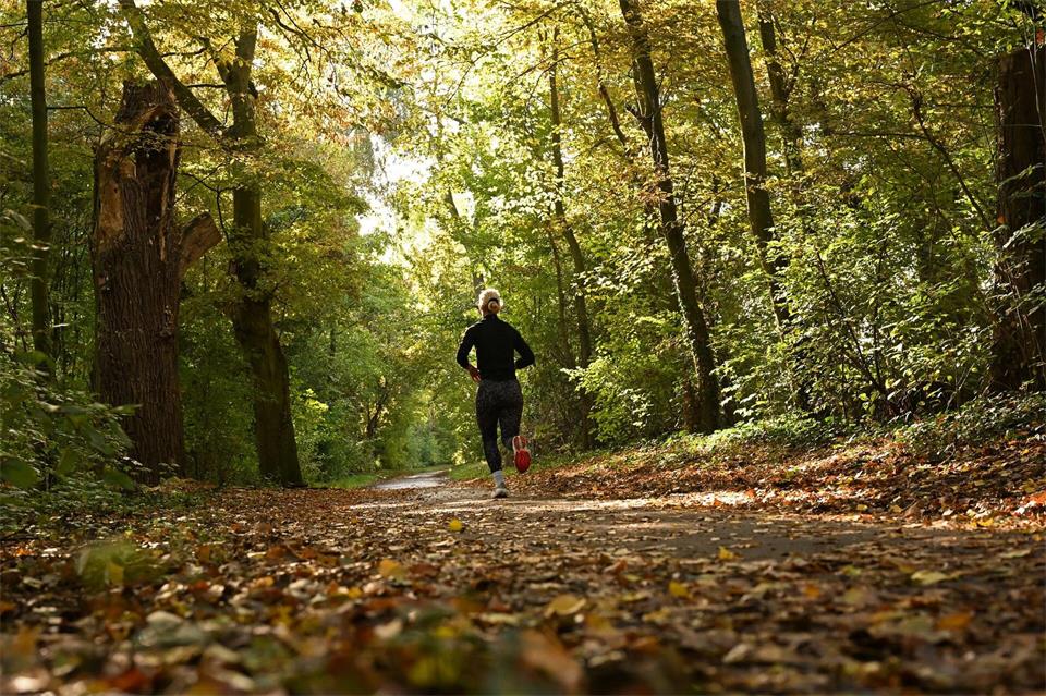Ob Wandern, Einkuscheln oder Abenteuer: Der Herbst in Hessen hat für jeden was zu bieten. Jennifer Brückner/dpa