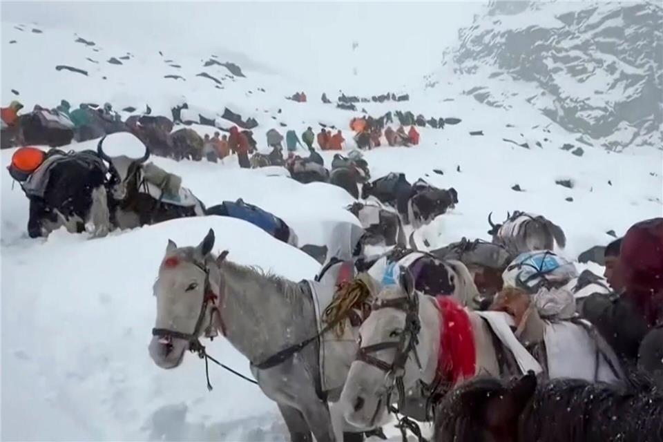 Ochsen und Pferde wurden bei der Suche nach den Wanderern eingesetzt. Lingsuiye/Xinhua/dpa