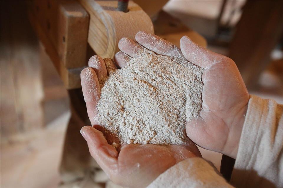 „Öko-Test“ hat 50 Vollkornvarianten von Weizen-, Dinkel- und Roggenmehlen untersucht.picture alliance/dpa