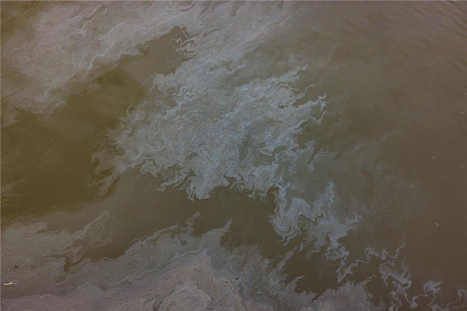 Ölschlieren ziehen sich auf der Elbe. (Symbolbild)Ulrich Perrey/dpa