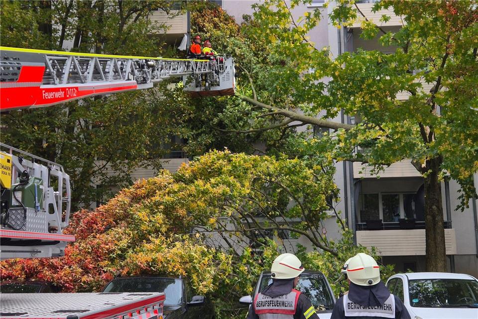 Sturm fällt Bäume und beeinträchtigt Bahnverkehr in NRW Oft musste die Feuerwehr wegen umgestürzte Bäume ausrücken.Sascha Thelen/dpa