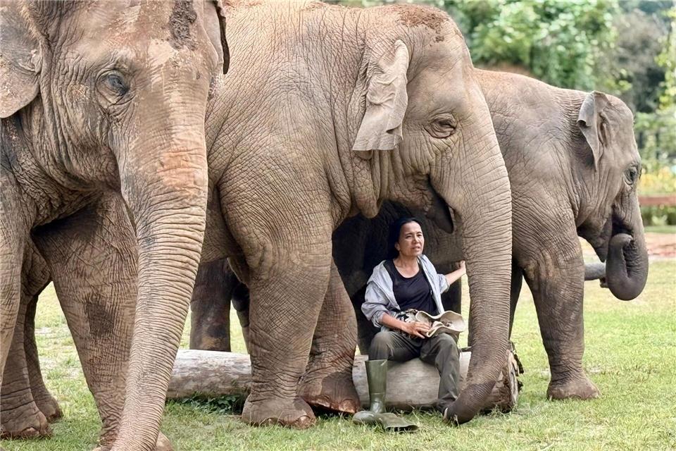 Oft singt Lek ihren Elefanten Schlaflieder, um sie zu beruhigen.Carola Frentzen/dpa