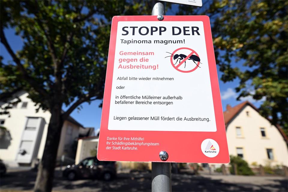 Ohne Mithilfe von Anwohnern ist der Kampf noch mühsamer.Uli Deck/dpa