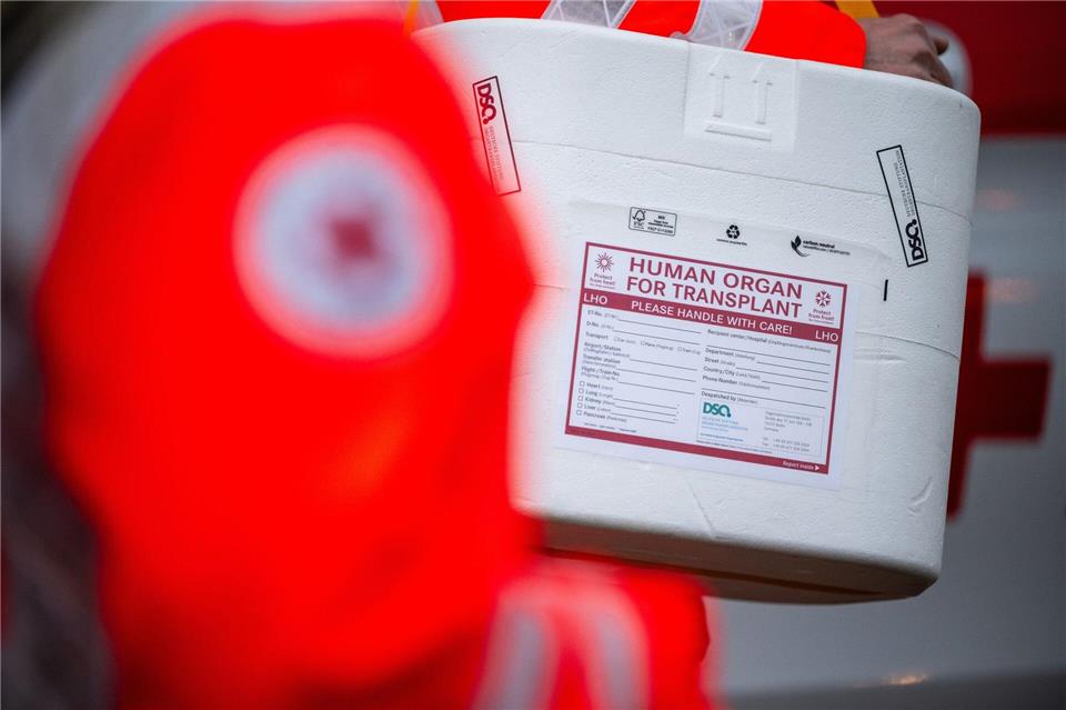 Weniger Organspenden im Nordosten Deutschlands Organspende-Zahlen sind im Nordosten Deutschlands rückläufig. (Symbolbild)Sebastian Gollnow/dpa