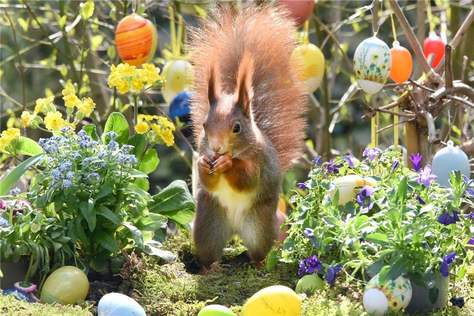 Ostern steht vor der Tür. (Archivbild)Waltraud Grubitzsch/dpa