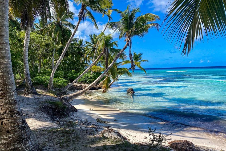 Palmen, Strand – ganz ohne Stress. Damit es auch vor Ort so bleibt: beim Buchen nicht nur auf den Preis schauen, sondern aufs Gesamtpaket.picture alliance/dpa/dpa-tmn