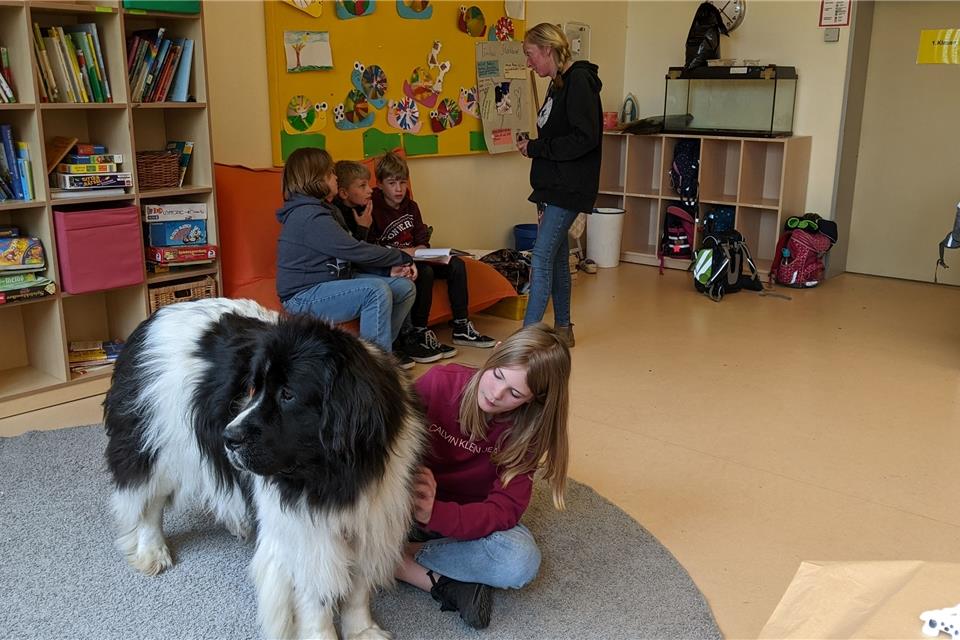 Pamela Krüger vermittelt den Kindern den praktischen und theoretischen Umgang mit dem Hund.