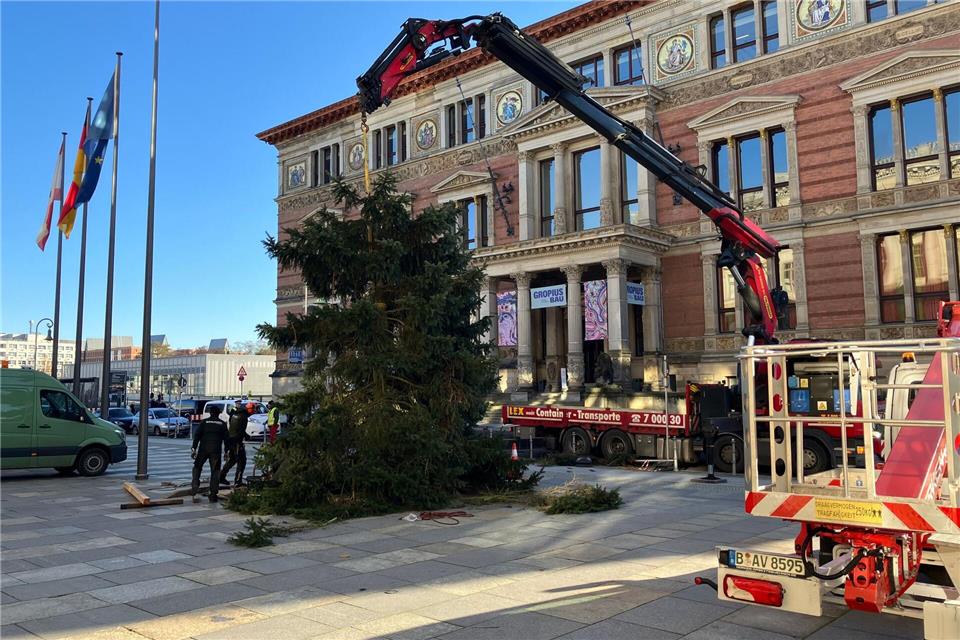 Pannen mit Weihnachtsbäumen sind in Berlin keine Seltenheit. Stefan Kruse/-/dpa