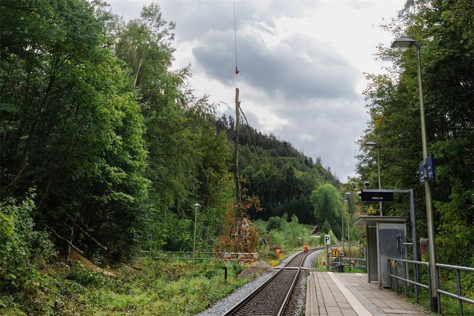 Parallel zu den Modernisierungsarbeiten im Brandleitetunnel wurden zur Sicherheit der Bahnstrecke Bäume gefällt. (Archivbild)Michael Reichel/dpa