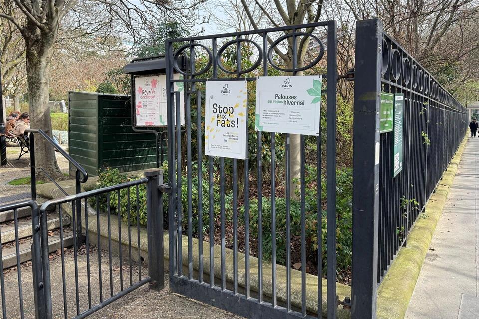 Parkanlagen, unterirdische Schächte und die Kanalisation sind bevorzugte Lebensräume der Pariser Ratten.Michael Evers/dpa