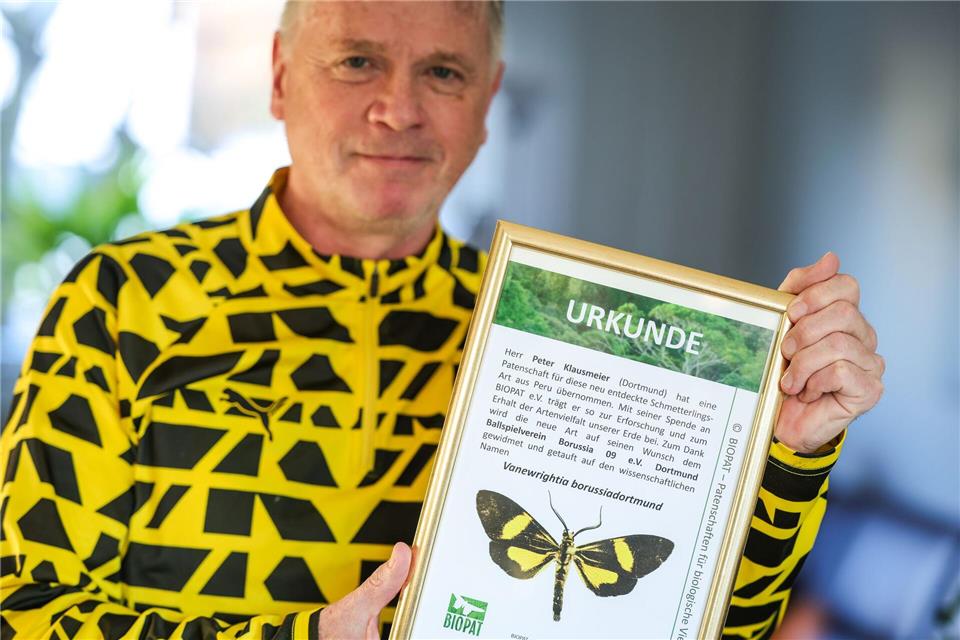 Passt bestens zusammen: Ein schwarz-gelber Schmetterling und sein Namenspate, der BVB-Fan und Biologe Peter KlausmeierChristoph Reichwein/dpa