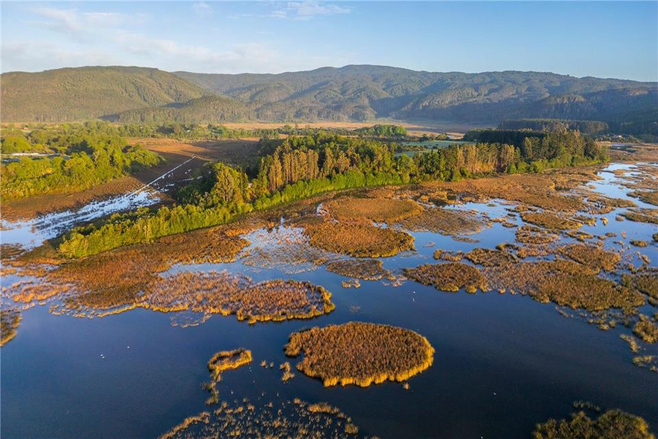 Per Bootstrip über den Río Cruces ab Valdivia zu erleben: das Naturschutzgebiet Carlos Anwandter.Oliver Gerhard/dpa-tmn