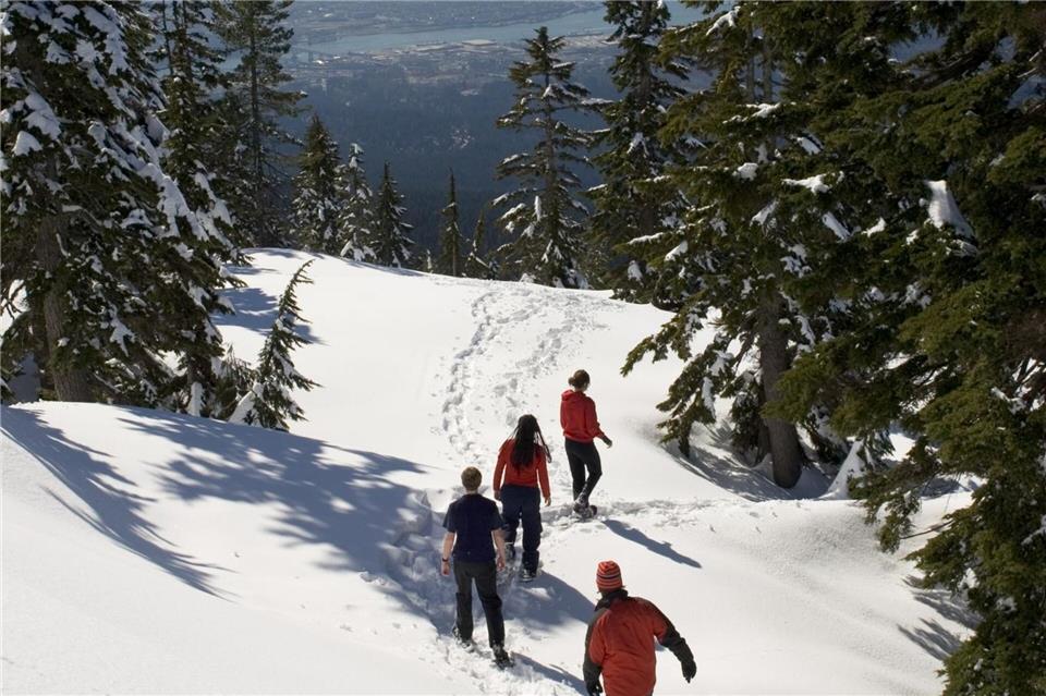 Perfekte Kulisse für Skitouren: Auch das Skigebiet Mount Seymour bietet spektakuläre Blicke.Joern Rohde/Destination BC/Insight Photography/dpa-tmn
