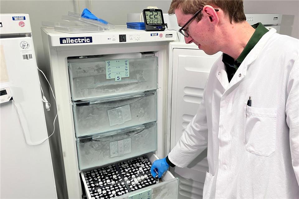 Pestiziduntersuchungen bei Obst und Gemüse zeigen: Die Lebensmittel sind hinsichtlich Rückständen von Pflanzenschutzmitteln sicher - besonders Bio-Produkte.Michael Donhauser/dpa