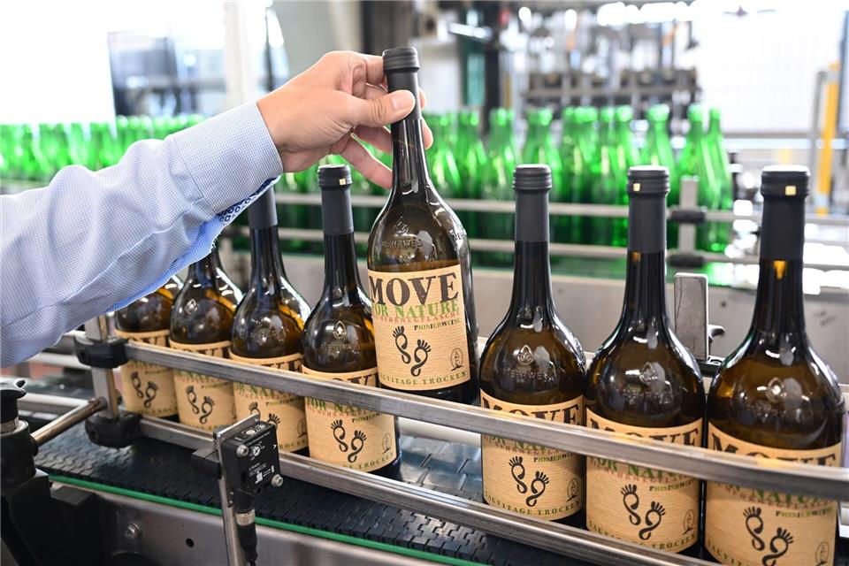 Pfandflaschen für Wein sind selten. (Archivfoto)Bernd Weißbrod/dpa