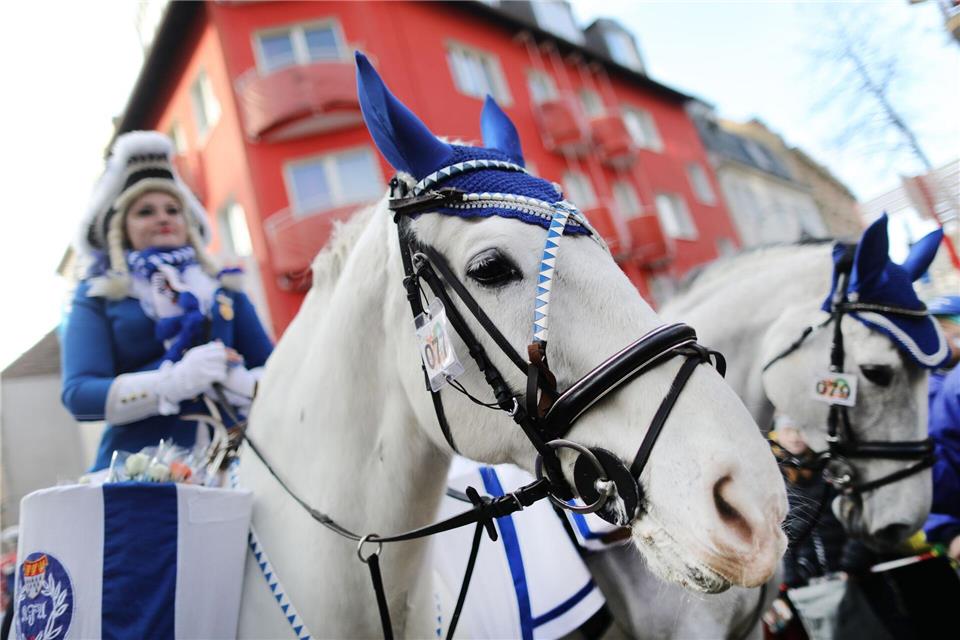 Pferde beim Karnevalsumzügen sind seit Jahren ein Aufregerthema. (Archivbild)Rolf Vennenbernd/dpa