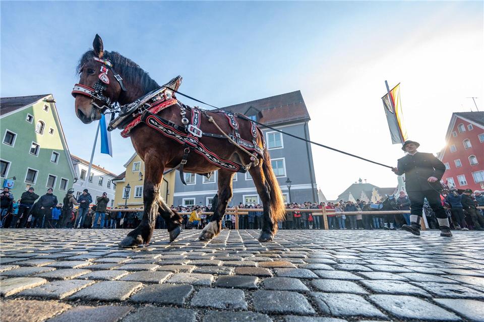 Pferde werden beim Berchinger Rossmarkt durch die Innenstadt geführt. Jedes Jahr kommen Tausende Besucher zu dem eintägigen Wintervolksfest, um prachtvoll geschmückte Pferde und Gespanne zu sehen.Armin Weigel/dpa
